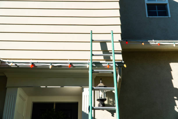 Affordable siding repair and maintenance services in Lennox, CA