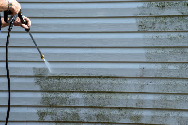 Best Siding for Commercial Buildings  in Lennox, CA