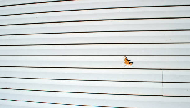 Best Custom Trim and Detailing for Siding  in Lennox, CA